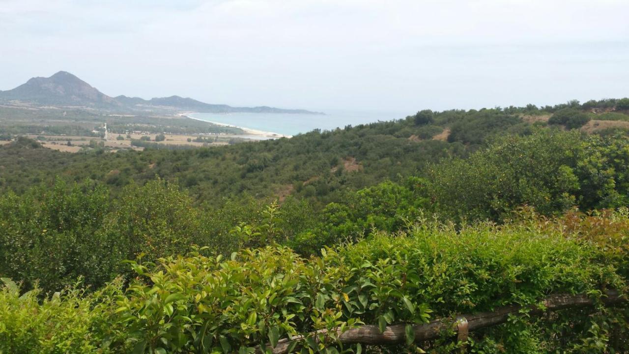 Casa Nanny Villetta Panoramica Коста Рей Екстериор снимка